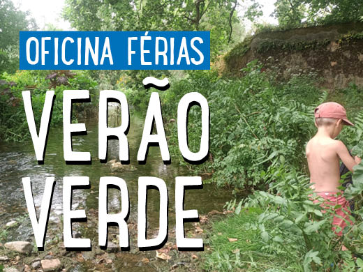 thumb-ferias