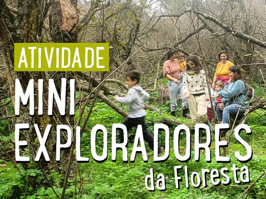 thumb-miniexploradores-outubro